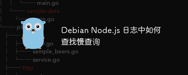 debian node.js 日志中如何查找慢查询