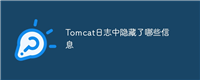 Tomcat日志中隐藏了哪些信息