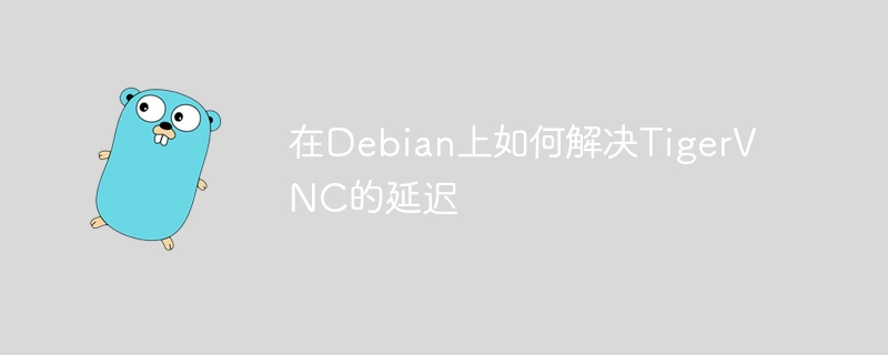 在debian上如何解决tigervnc的延迟