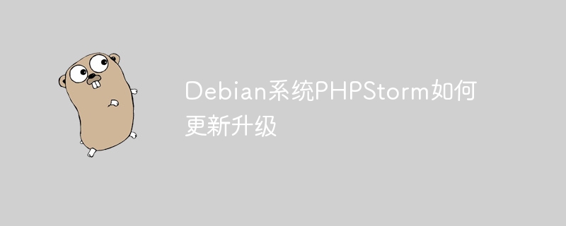 debian系统phpstorm如何更新升级