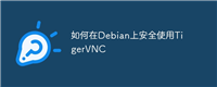 如何在Debian上安全使用TigerVNC