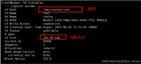 Linux磁盘扩容lvm的使用详解