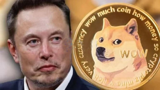 马斯克：美国没有计划使用狗狗币！doge近24小时跌幅达4.1%