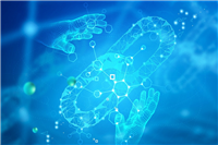 OM，MOVE，WAL：本周前3个趋势硬币价格分析