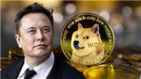 马斯克辟谣DOGE传闻:狗狗币抄底机会何在?
