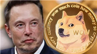 马斯克:美国没有计划使用狗狗币!DOGE成为马斯克事业绊脚石?
