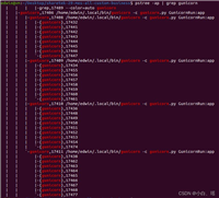 python3&nbsp;gunicorn配置文件的用法解读