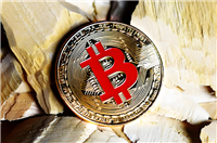从比特币到区块链:谁在引领加密货币的全球热潮?
