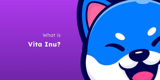 vinu是什么币种？vinu币前景怎么样？