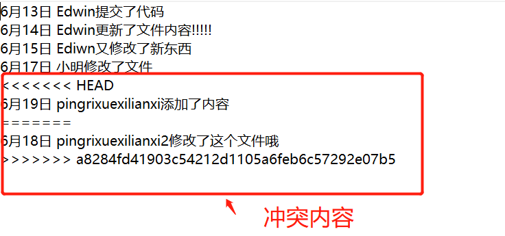 全网最全面的sourcetree使用教程详解（连接远程仓库，克隆，拉取，提交，推送，新建/切换/合并分支，冲突解决，提交pr）_推送_28