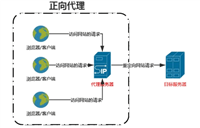 Nginx正反向代理与正则表达式详解