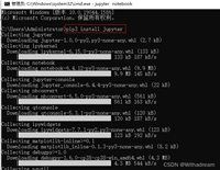 Jupyter notebook安装步骤解读