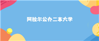 阿拉尔最好的公办二本大学排名(实力最强)