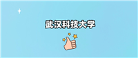 武汉科技大学是985还是211?附2024年录取分数线汇总
