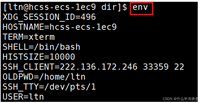 详解Linux中常见环境变量的特点与设置
