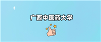 广西中医药大学是一本还是二本