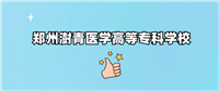 郑州健康学院2024录取分数线(全国各省最低分汇总)