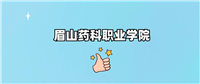 眉山药科职业学院是野鸡大学吗?是正规学校吗?公办还是民办?