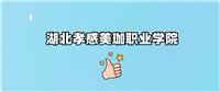 湖北孝感美珈职业学院2024录取分数线(全国各省最低分汇总)