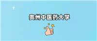 贵州中医药大学是一本还是二本