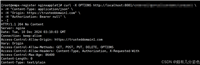 Nginx 配置跨域的实现及常见问题解决
