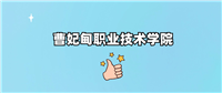 曹妃甸职业技术学院是公办还是民办学校?是不是全日制专科学校?