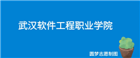 2025高考多少分可以上武汉软件工程职业学院?往年最低315分就能录取