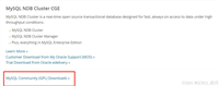 MySQL数据库安装之离线下载方式