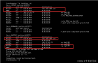 Linux上使用telnet连接本机IP地址端口方式