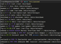 linux用户与用户组配置文件的使用及说明