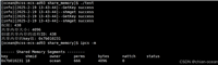 Linux使用System V实现内存共享的最佳实践