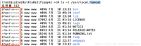 Linux如何查看文件权限的命令