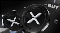 什么是XRP钱包?哪个对XRP最好?2025最佳XRP钱包推荐