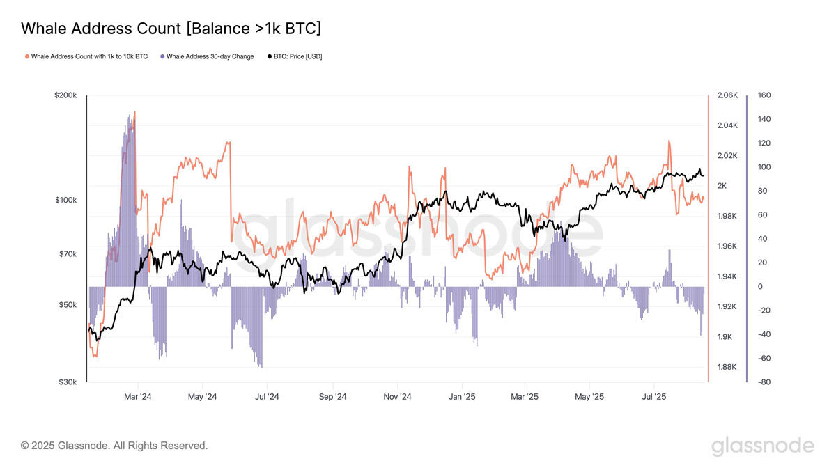比特币(btc)价格上升楔形破位:一文搞清楚btc会跌至何处?