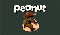 松鼠币(PNUT)是什么?能否达到$10?PNUT币价格预测