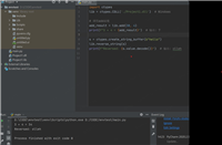 python调用C/C++动态库的实践案例