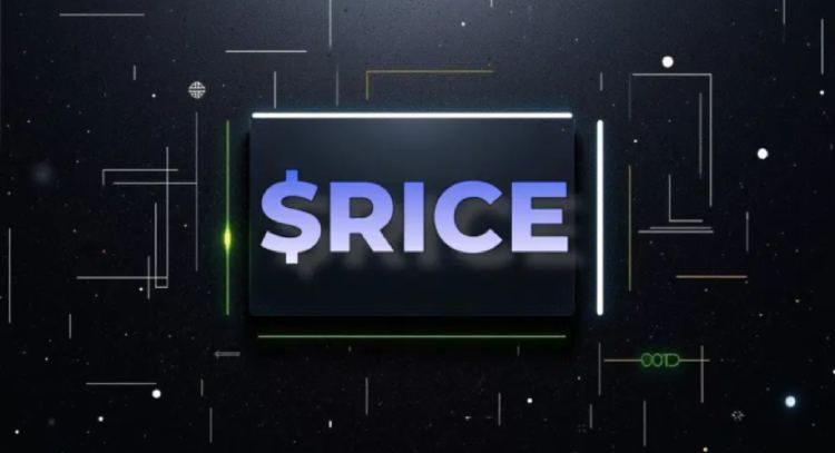 什么是rice ai（rice）币？rice代币经济学、未来展望及价格预测