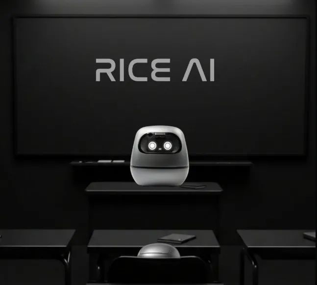 rice全面介绍