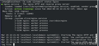 centos8下安装nginx并修改其默认网页方式
