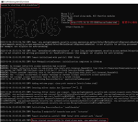 Nacos Server部署配置全过程