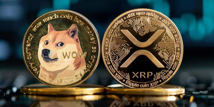 xrp和狗狗币etf全面介绍