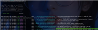 SpringBoot登录认证前后端实现方案:SpringBoot + Mybatis + JWT(图文实例)