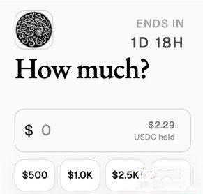 metadao参与公募教程