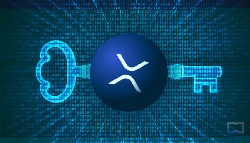 xrp冷钱包完整指南