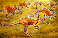 一文了解澳大利亚加密货币公司支持法律草案，但“关键问题”仍需澄清