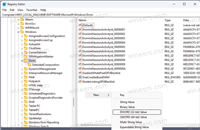 Win11预览版22631.3810及后续版本怎么禁用显示过渡动画?
