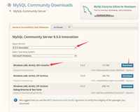 Windows下MySql&nbsp;9.5.0(2025)安装步骤