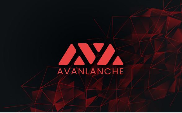 2025年受欢迎的加密货币盘点