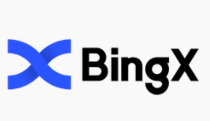 bingx 交易所