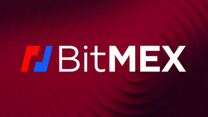 bitmex交易所